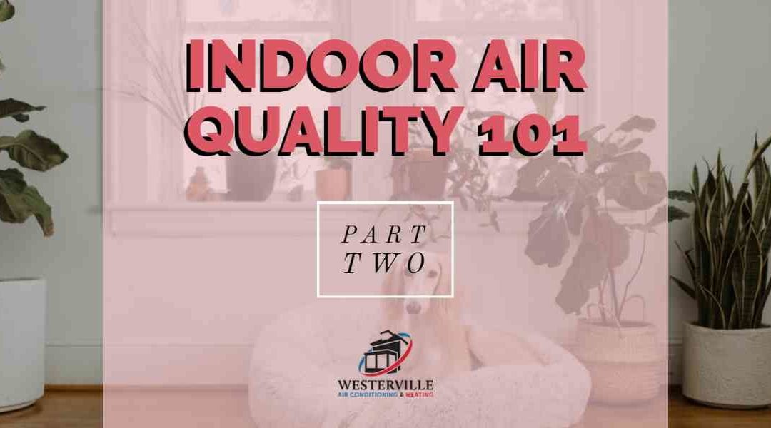 Indoor Air Quality 101 – Part 2: Different Sources of Indoor Air Pollution and Their Health Effects