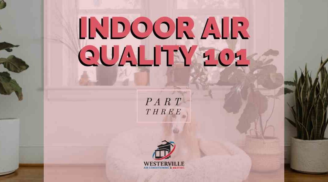 Indoor Air Quality 101 – Part 3: Products & Services that Enhance the Air Quality in Your Westerville Home