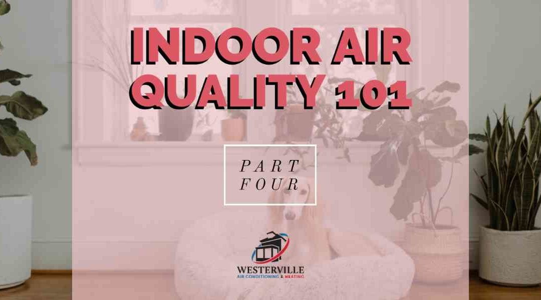 Indoor Air Quality 101 – Part 4: DIY Tips to Improve Your Home’s Air Quality